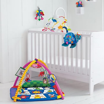 baby Einstein
